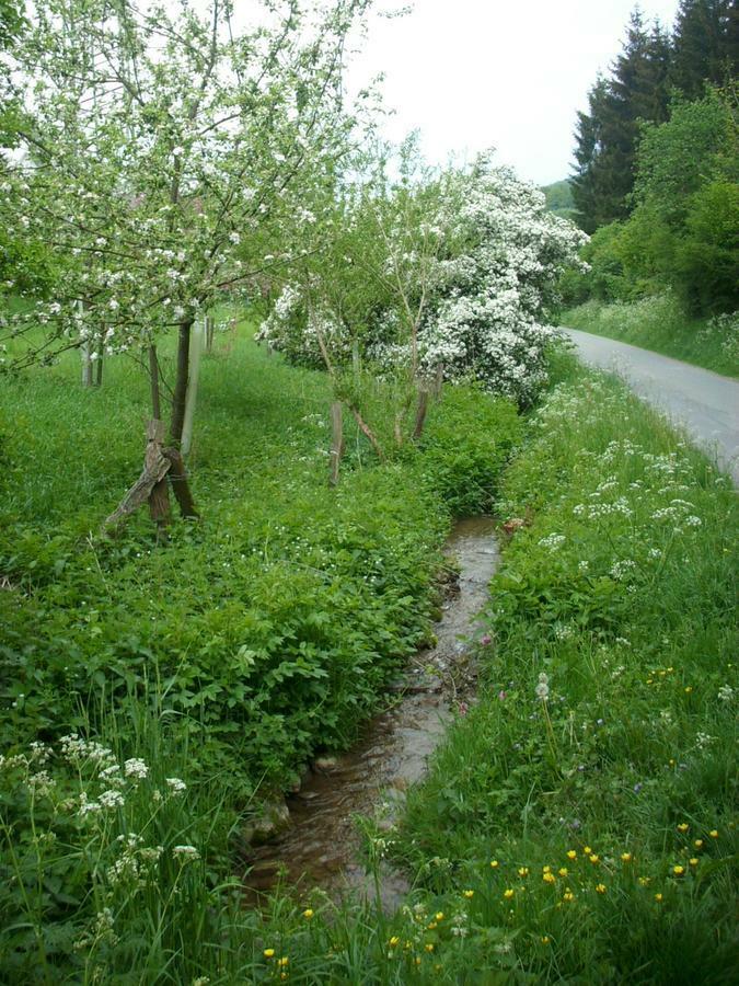 Gasthof Susewind Antfeld 외부 사진